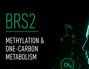 BRS2 — Methylation & One-Carbon Metabolism