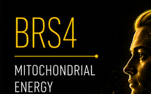 BRS4 — Mitochondrial Function & Bioenergetics